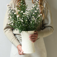 Porceleinen vaas geglazuurd